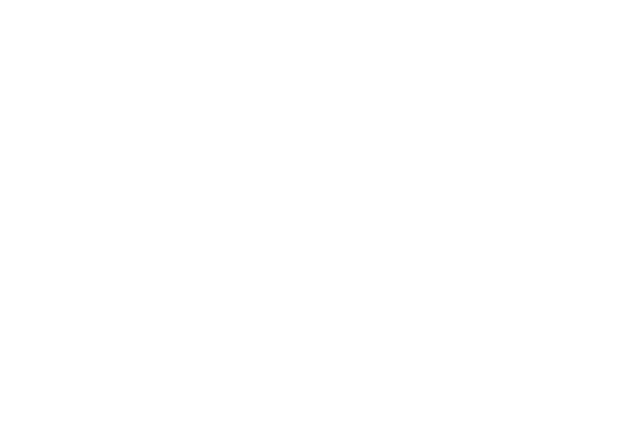 Logo Monochromatyczne KaroDruk-01